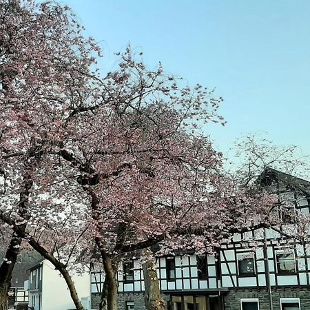 Vivanatura Eifelferienhaus Einruhr Εξωτερικό φωτογραφία