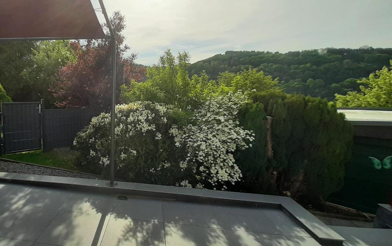 Vivanatura Eifelferienhaus Einruhr Εξωτερικό φωτογραφία