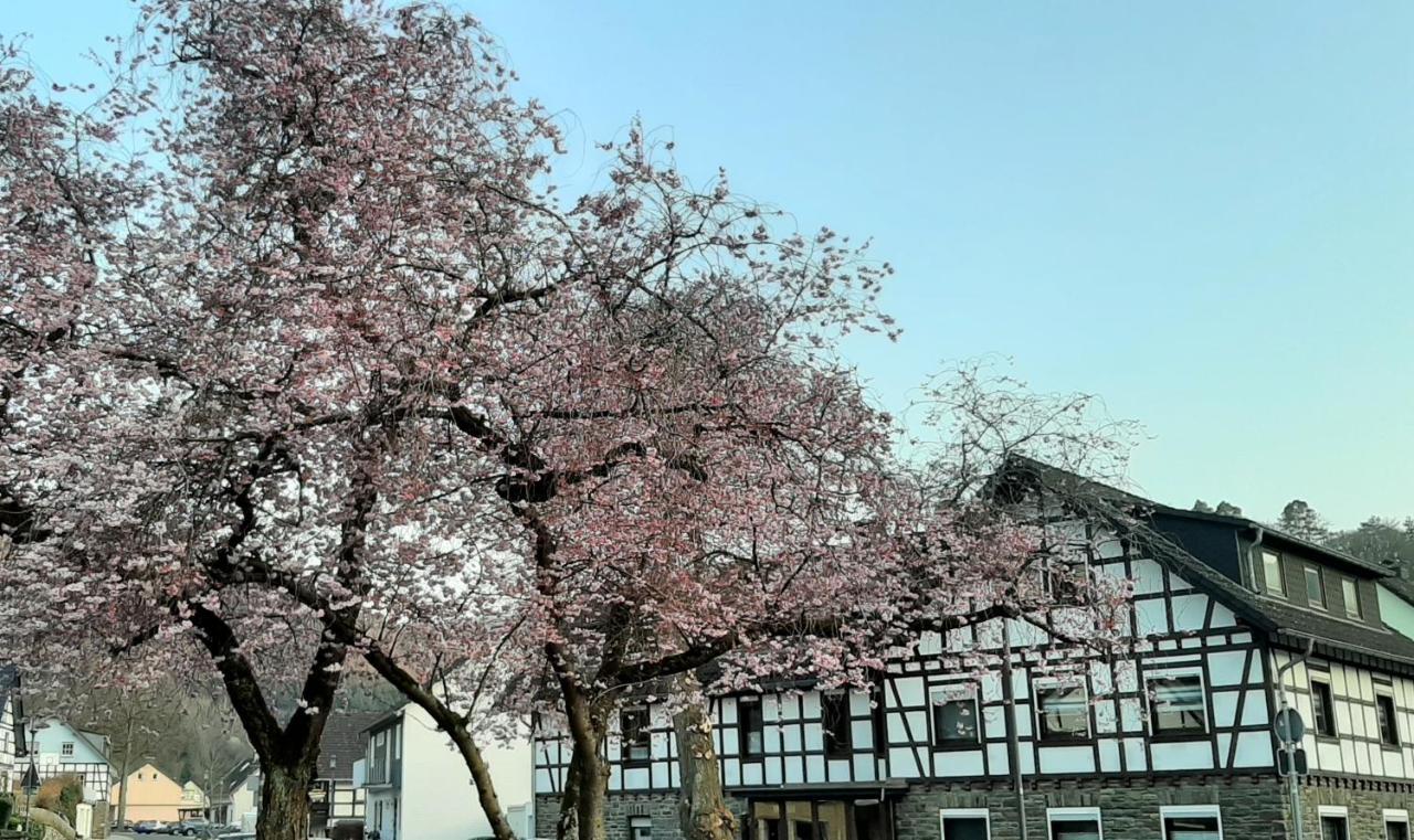 Vivanatura Eifelferienhaus Einruhr Εξωτερικό φωτογραφία